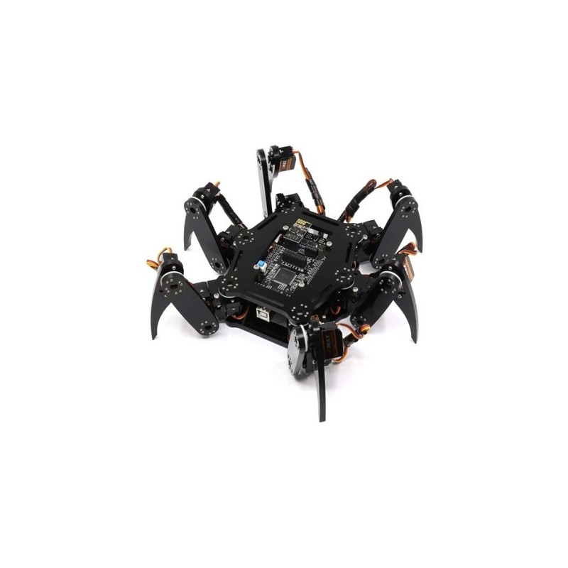 ROBOT  Hexapod Spider
