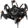 ROBOT  Hexapod Spider